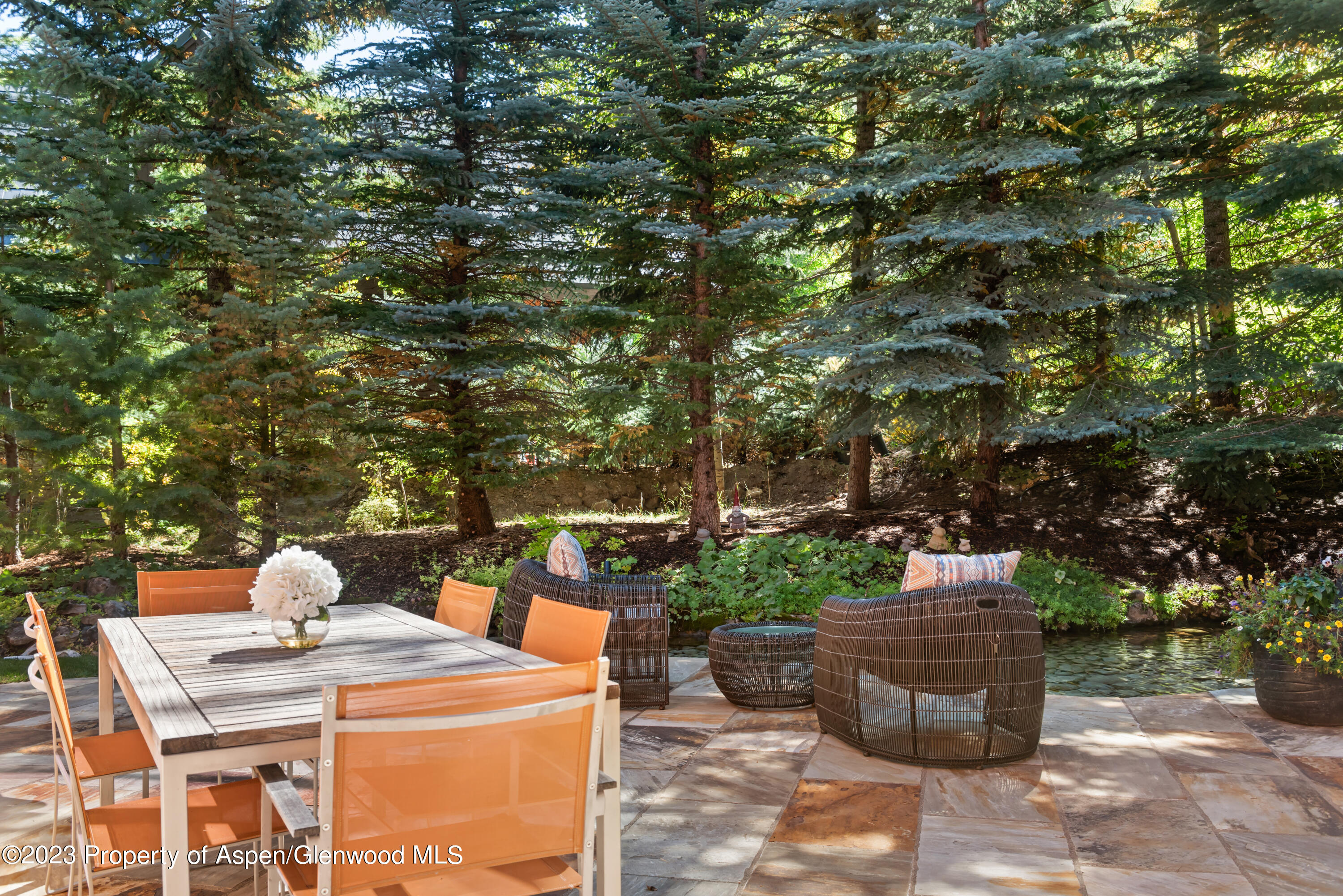 970 Powder Lane Aspen, CO 81611 - Photo 27 of 68 a view of a backyard with sitting area