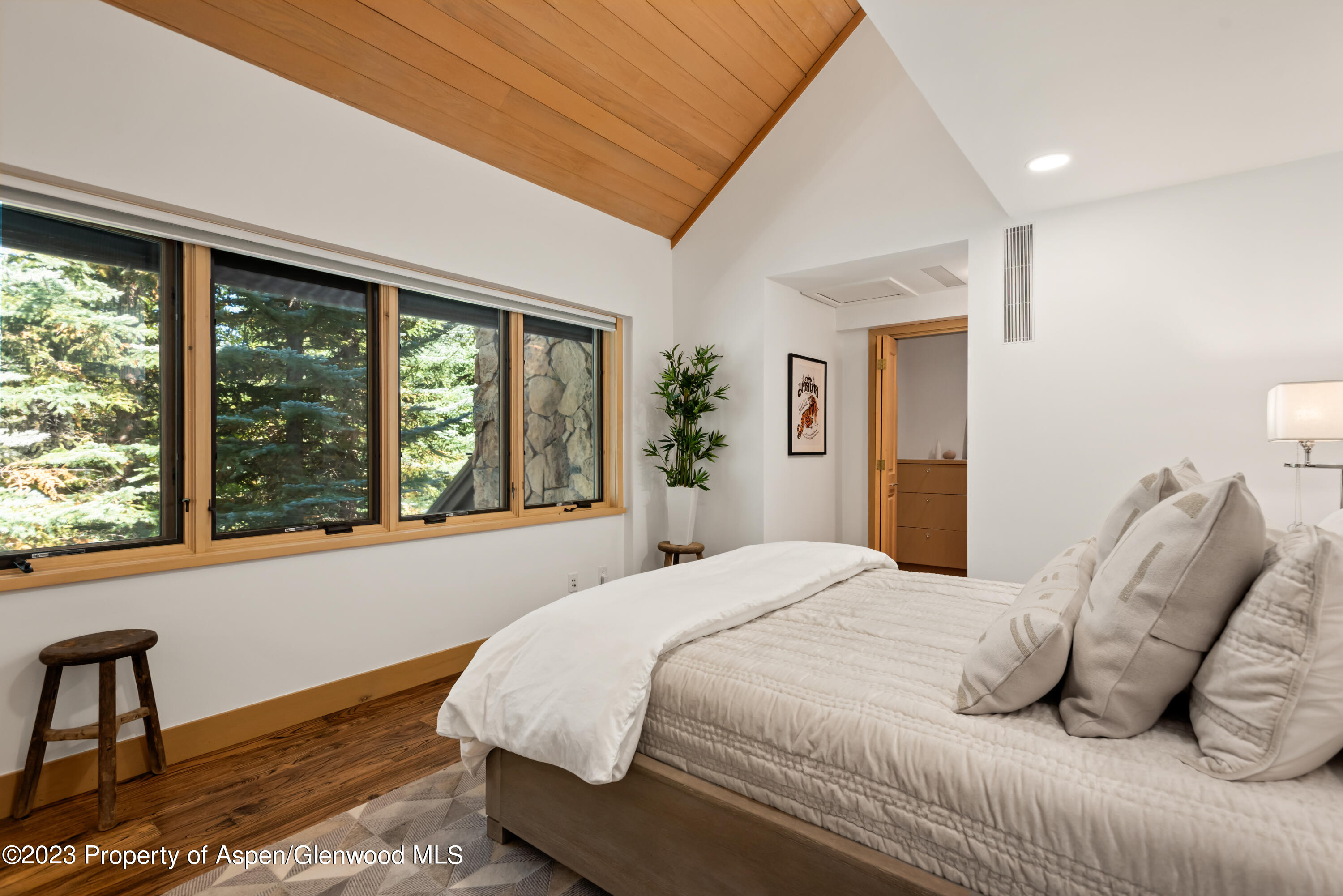 970 Powder Lane Aspen, CO 81611 - Photo 45 of 68 970PowderLn_HiRes_230926074