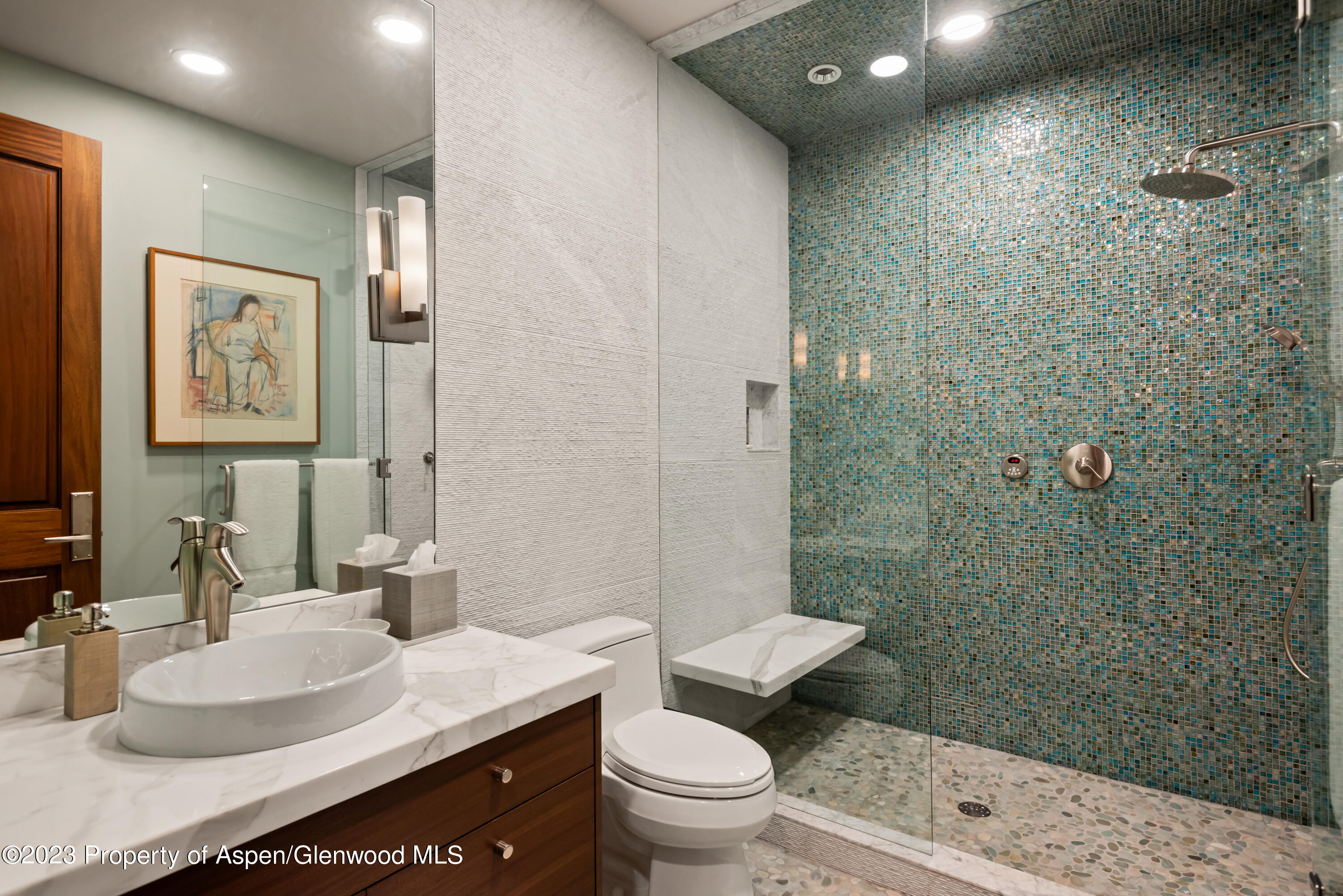 970 Powder Lane Aspen, CO 81611 - Photo 58 of 68 a bathroom with a sink a toilet and shower