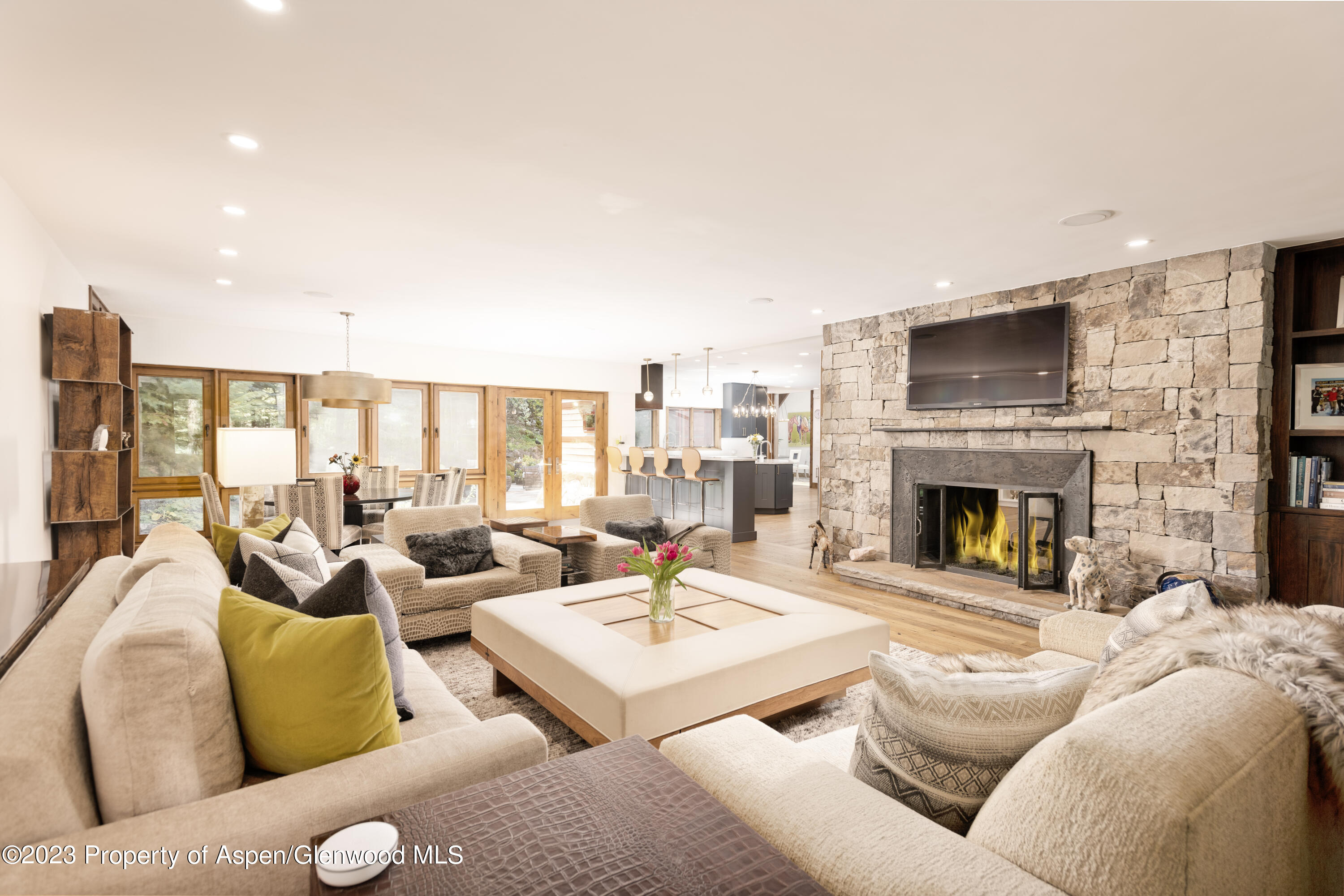 970 Powder Lane Aspen, CO 81611 - Photo 6 of 68 a living room with furniture fireplace and a flat screen tv