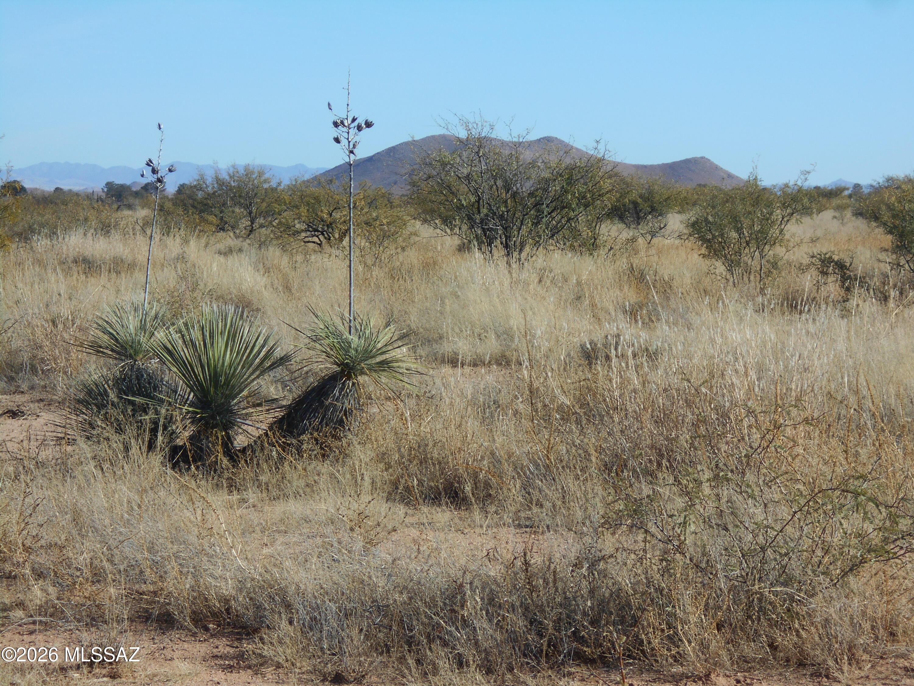 87 Acre Sidney Road, Unit 20 Pearce, AZ 85625 - Photo 12 of 16 DSCN5681