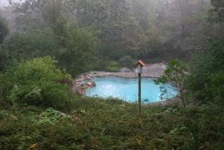 1 Nelson Drive Truro, MA 02666 - Photo 10 of 33 a backyard of a house