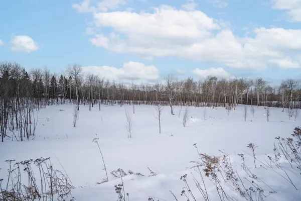$399,000 | 42-xb Stebner Road, Hermantown, MN 55811