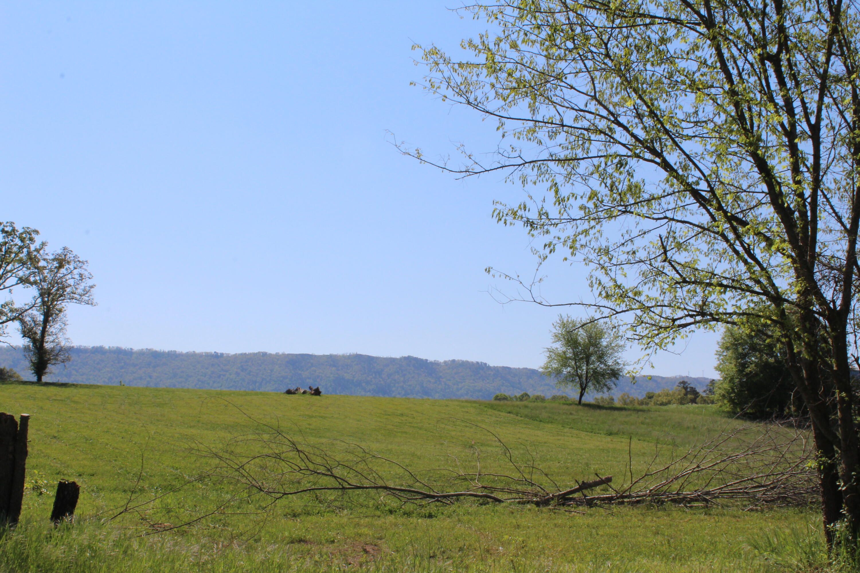 391 Etowah Road Benton, TN 37307 - Photo 16 of 21 IMG_8849