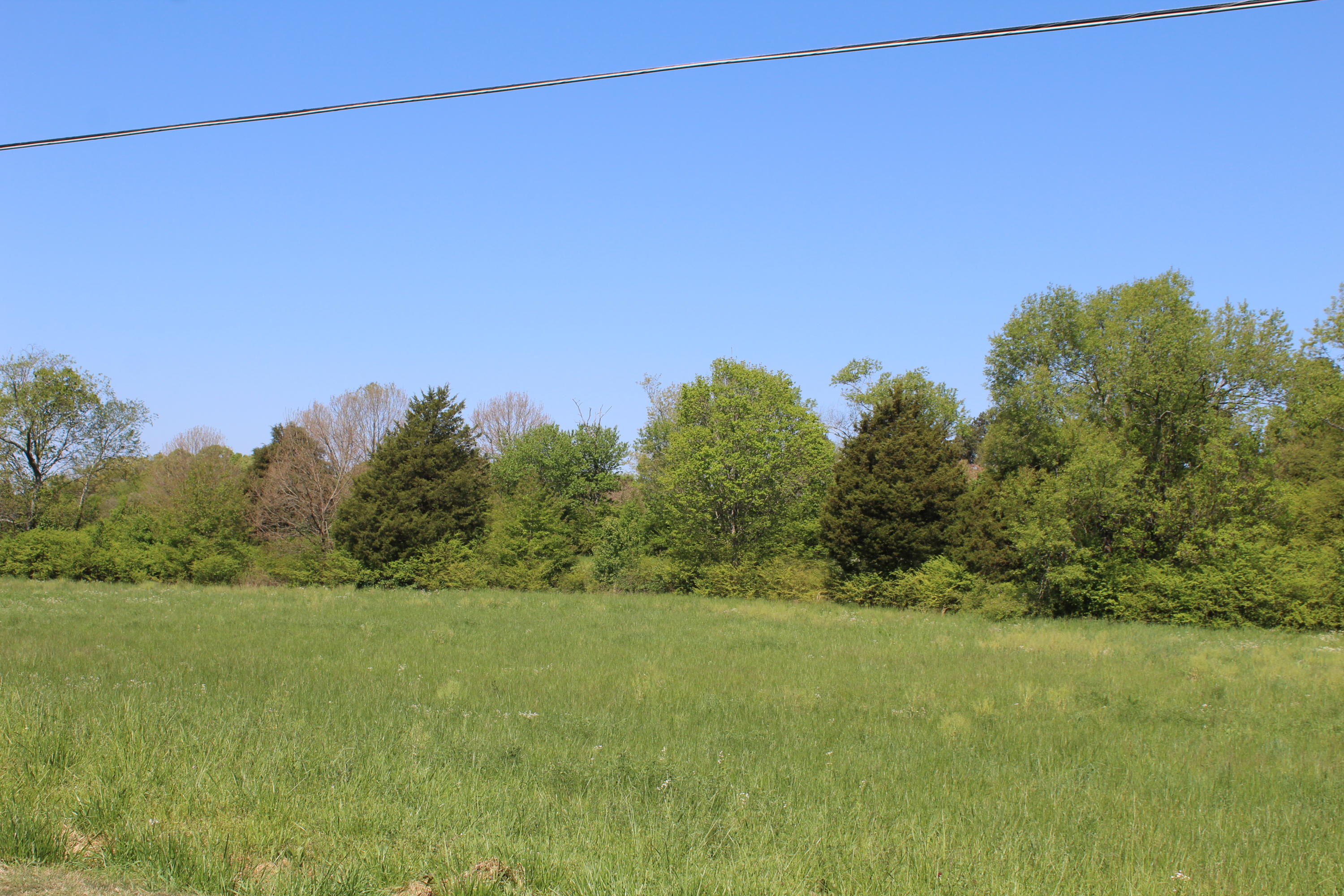 391 Etowah Road Benton, TN 37307 - Photo 20 of 21 IMG_8853
