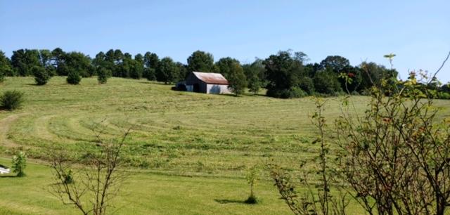 391 Etowah Road Benton, TN 37307 - Photo 21 of 21 thumbnail_IMG_9084