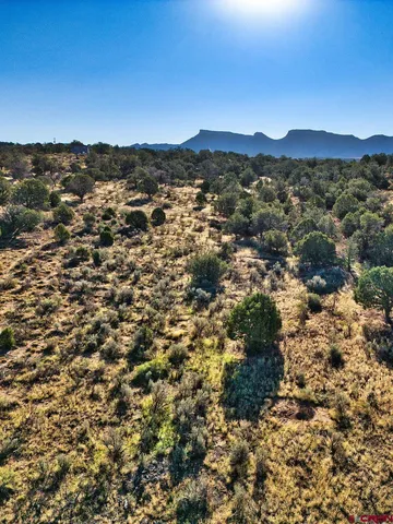 a view of city and mountain