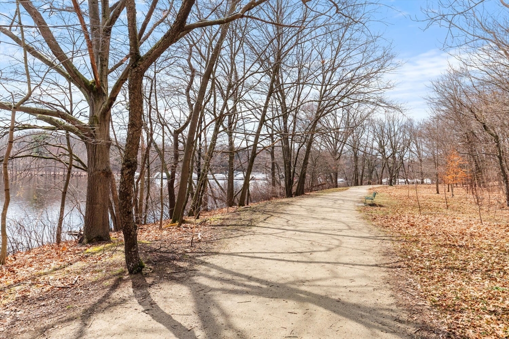 312 Charles River Road Watertown, MA 02472 - Photo 6 of 24