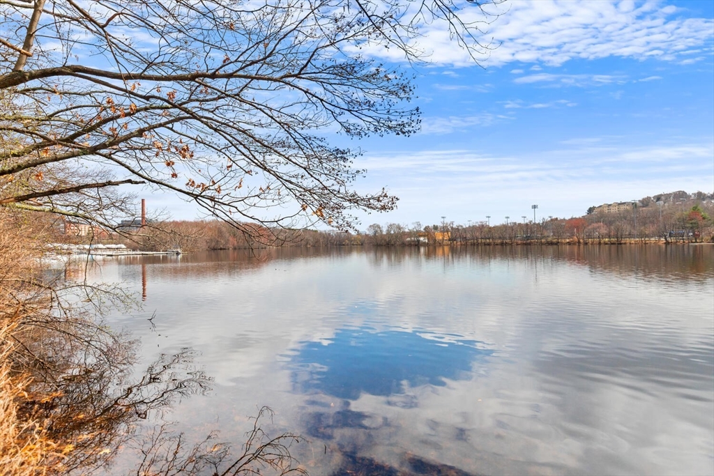 312 Charles River Road Watertown, MA 02472 - Photo 7 of 24