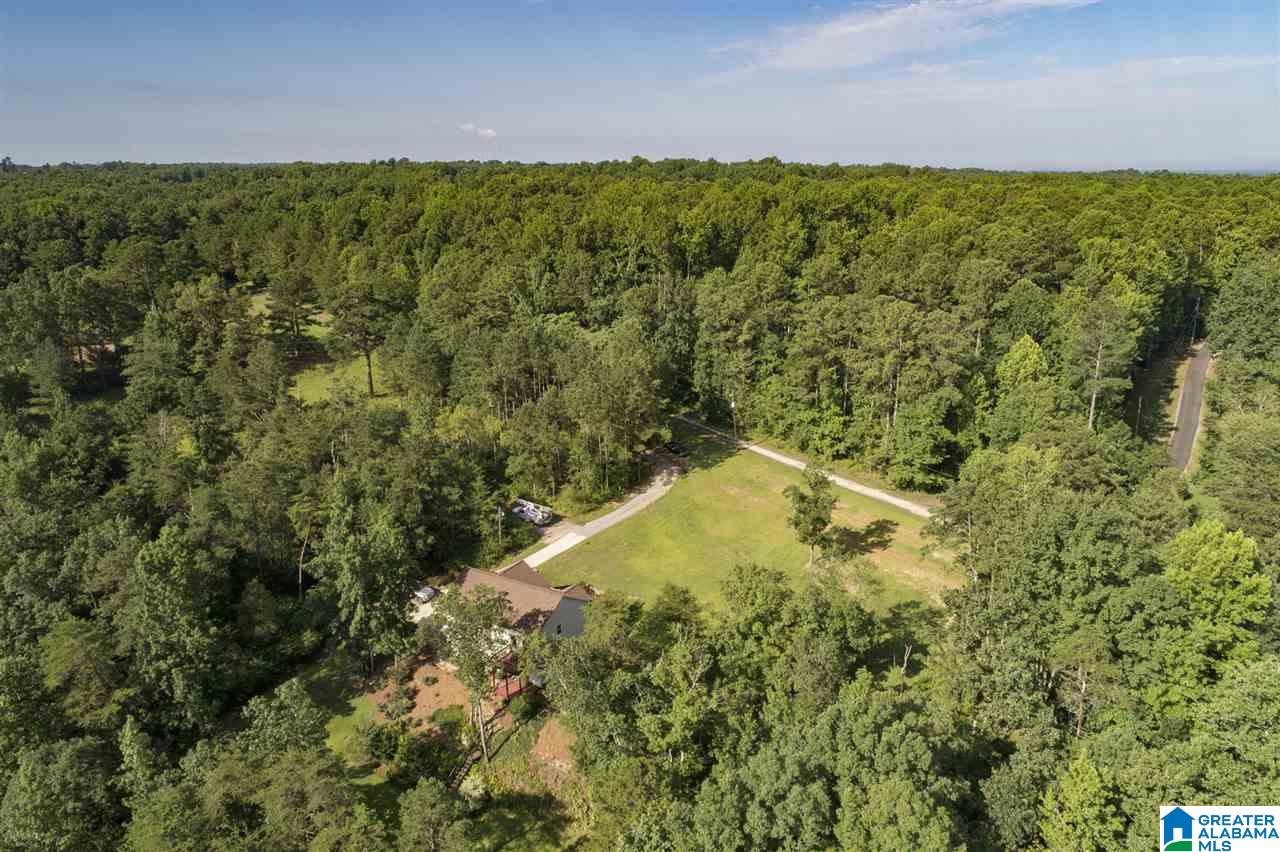 2277 Mt View Road Hayden, AL 35079 - Photo 43 of 46