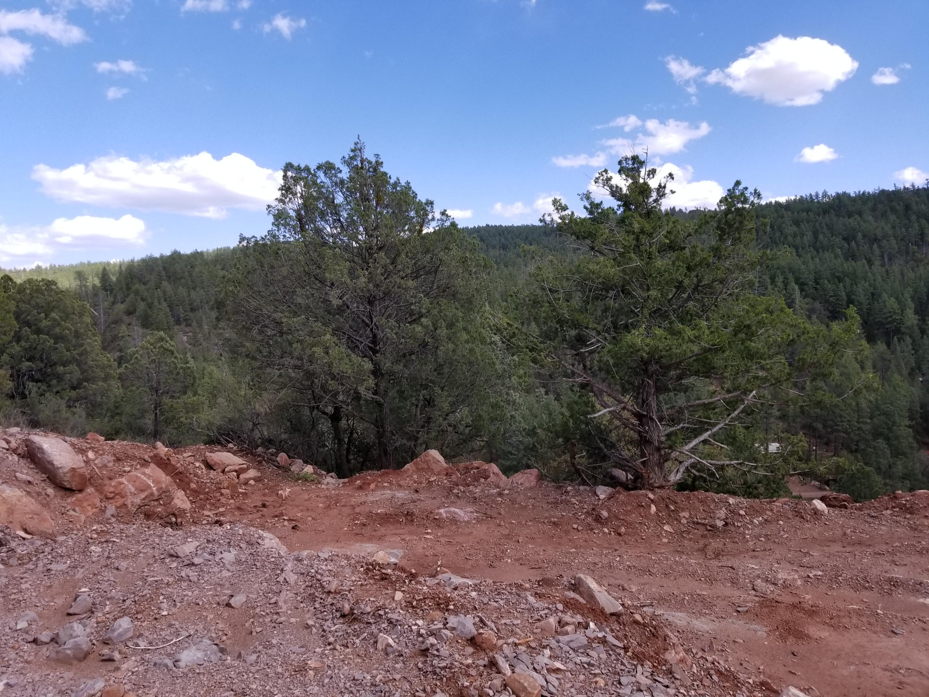 17033 Control Road Payson, AZ 85541 - Photo 22 of 28