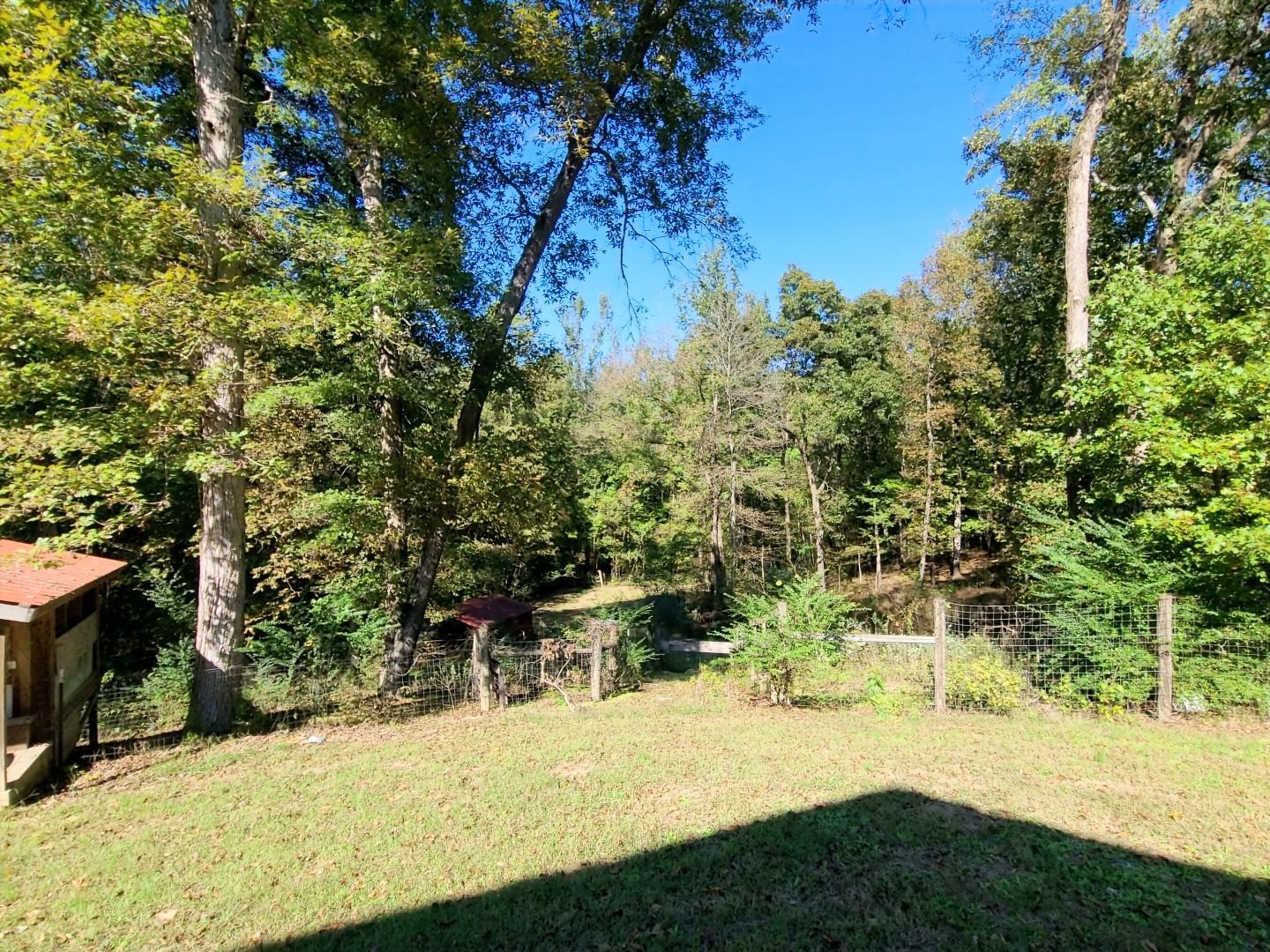 1360 Camden Bay Road Camden, TN 38320 - Photo 34 of 43 a view of back yard of the house