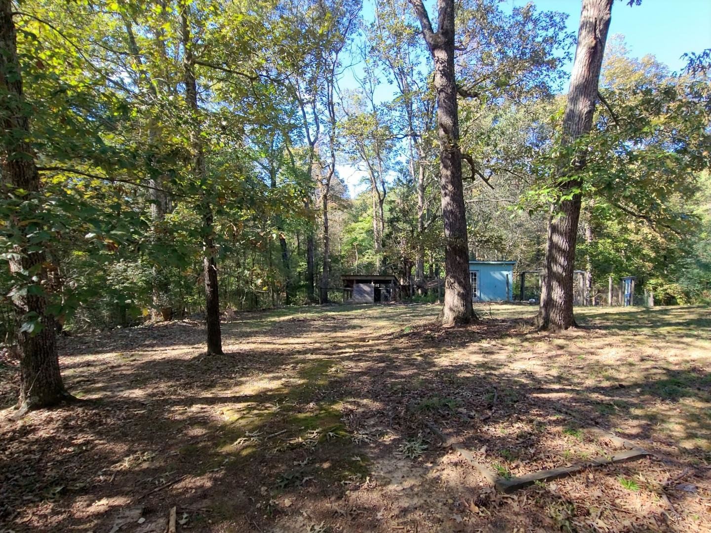 1360 Camden Bay Road Camden, TN 38320 - Photo 38 of 43 a view of a tree in the middle of a yard