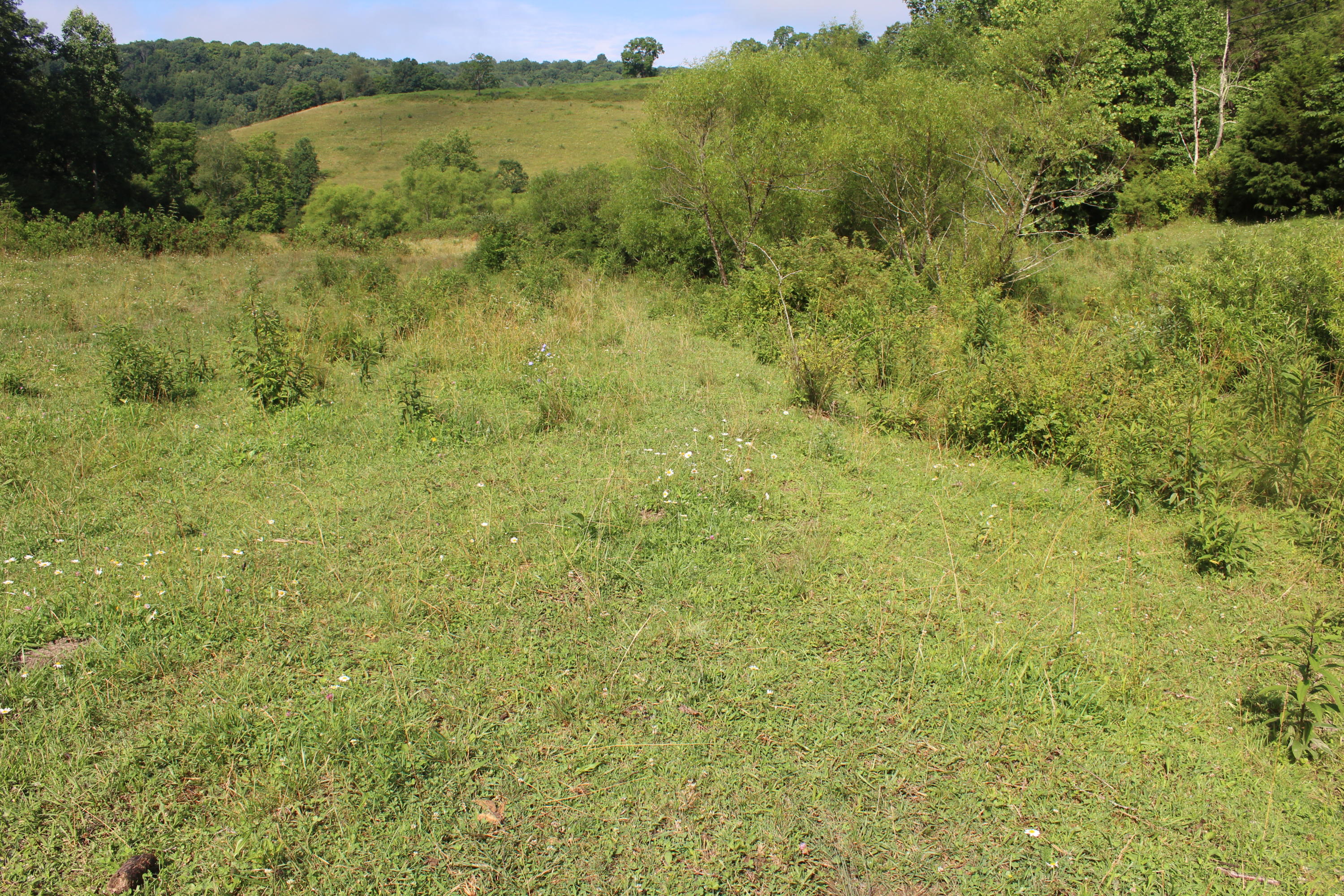 Bradshaw Run Road Forest Hill, WV 24935 - Photo 2 of 22 Gallery Image 2