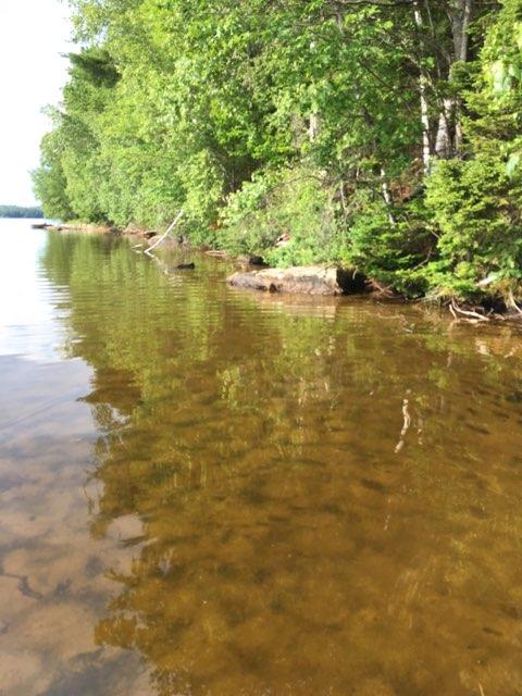 528 River Road Greene, ME 04236 - Photo 27 of 28 IMG_2465