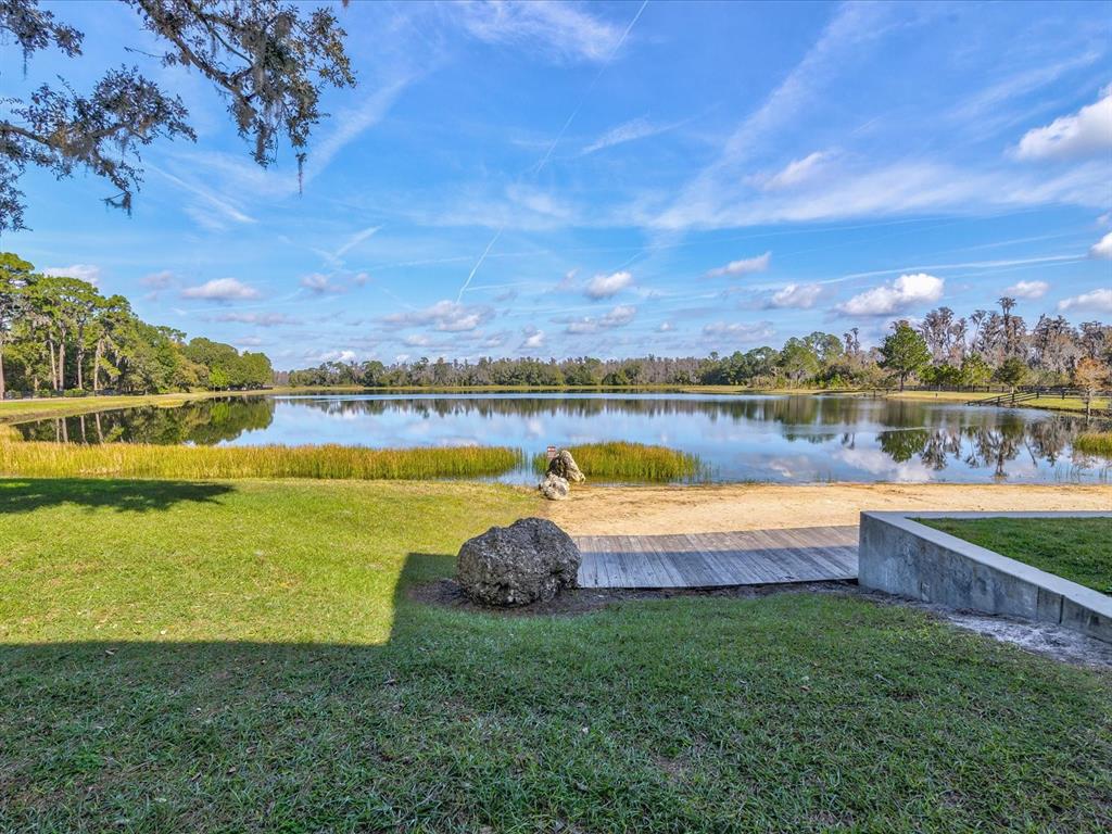 12308 Rangeland Boulevard Odessa, FL 33556 - Photo 49 of 56