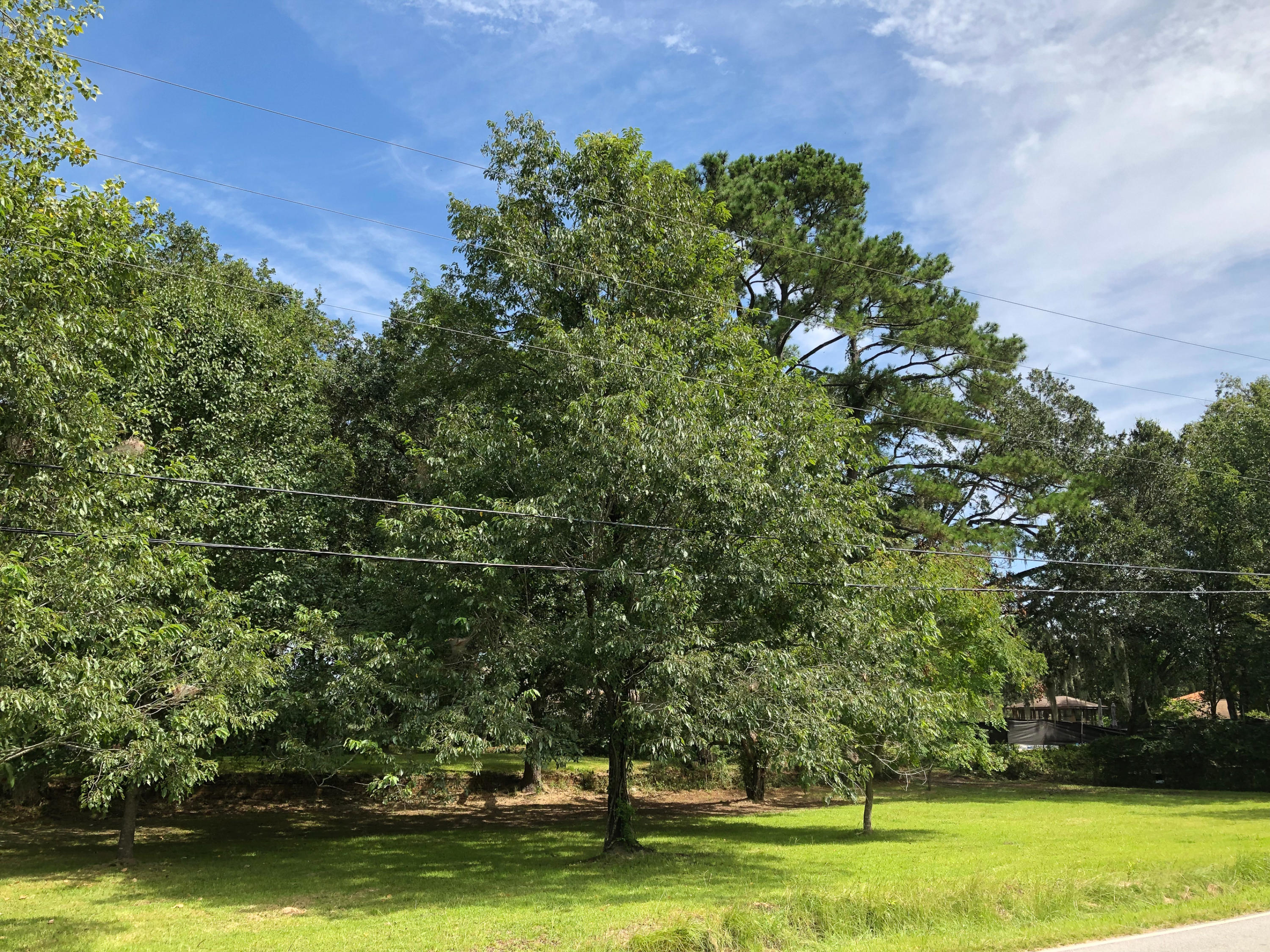 4886 Lambs Road North Charleston, SC 29418 - Photo 8 of 50 LLC 4886 Lambs-5844