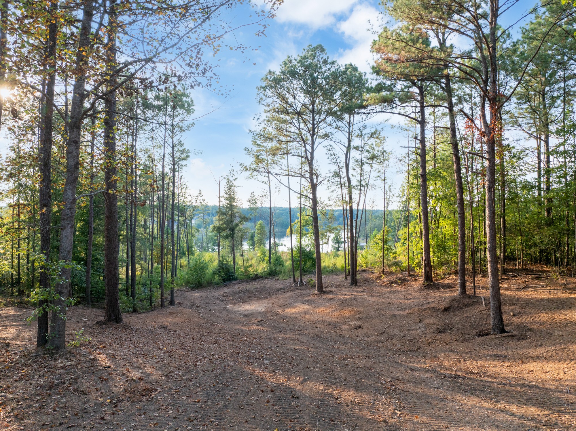 890 Kyle Road Huntingdon, TN 38344 - Photo 11 of 29 a view of road and trees