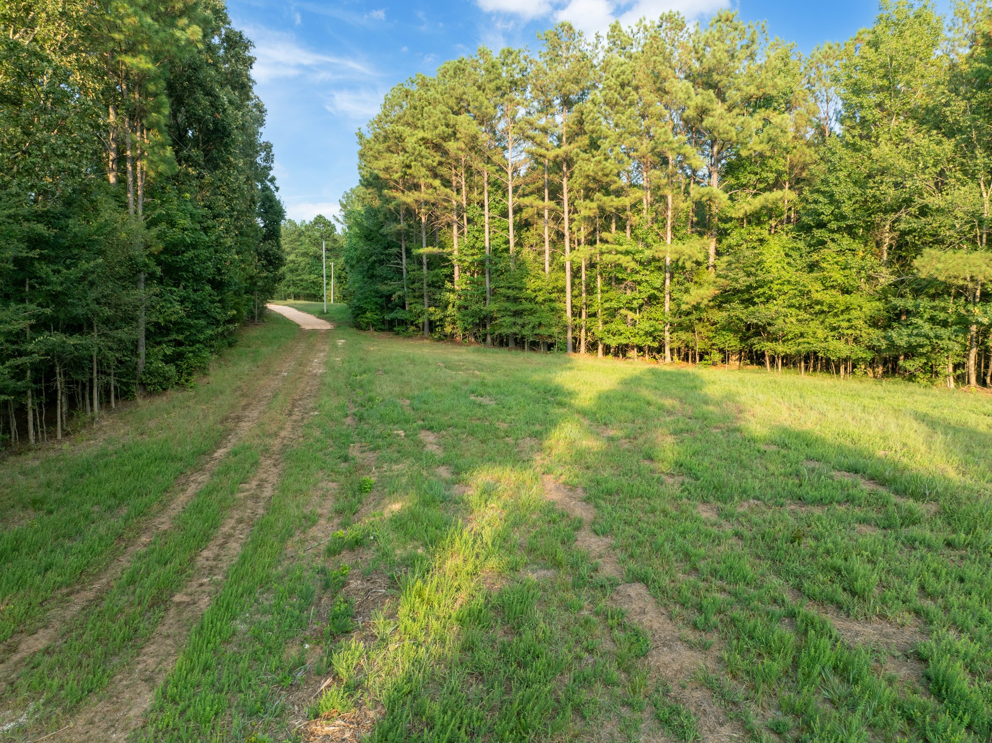890 Kyle Road Huntingdon, TN 38344 - Photo 12 of 29 a view of yard with green space