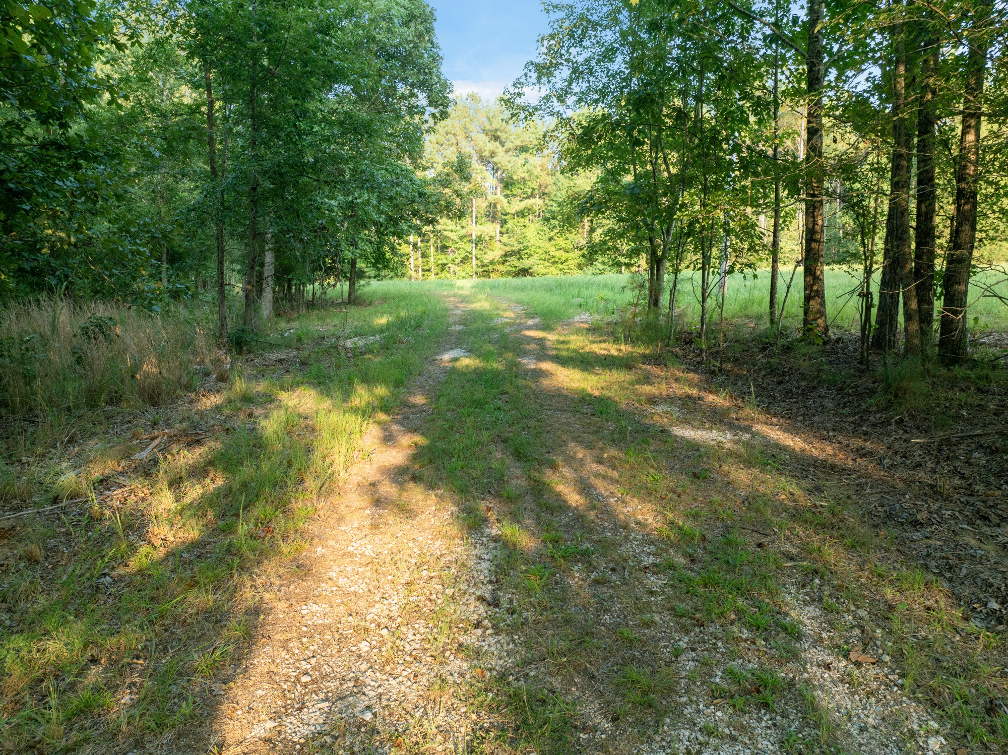 890 Kyle Road Huntingdon, TN 38344 - Photo 13 of 29 a view of yard with green space