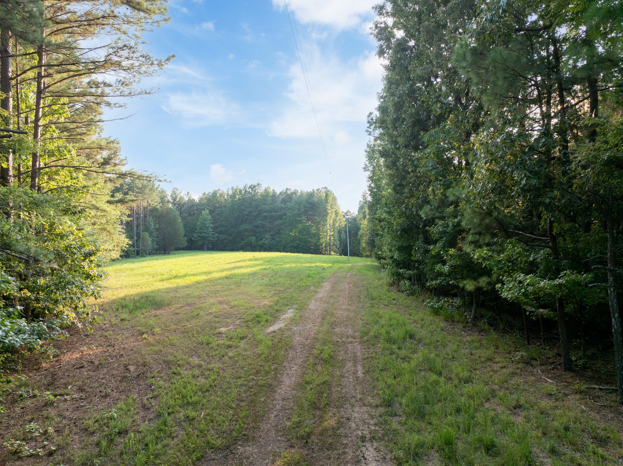 890 Kyle Road Huntingdon, TN 38344 - Photo 15 of 29 a view of yard with swimming pool and green space