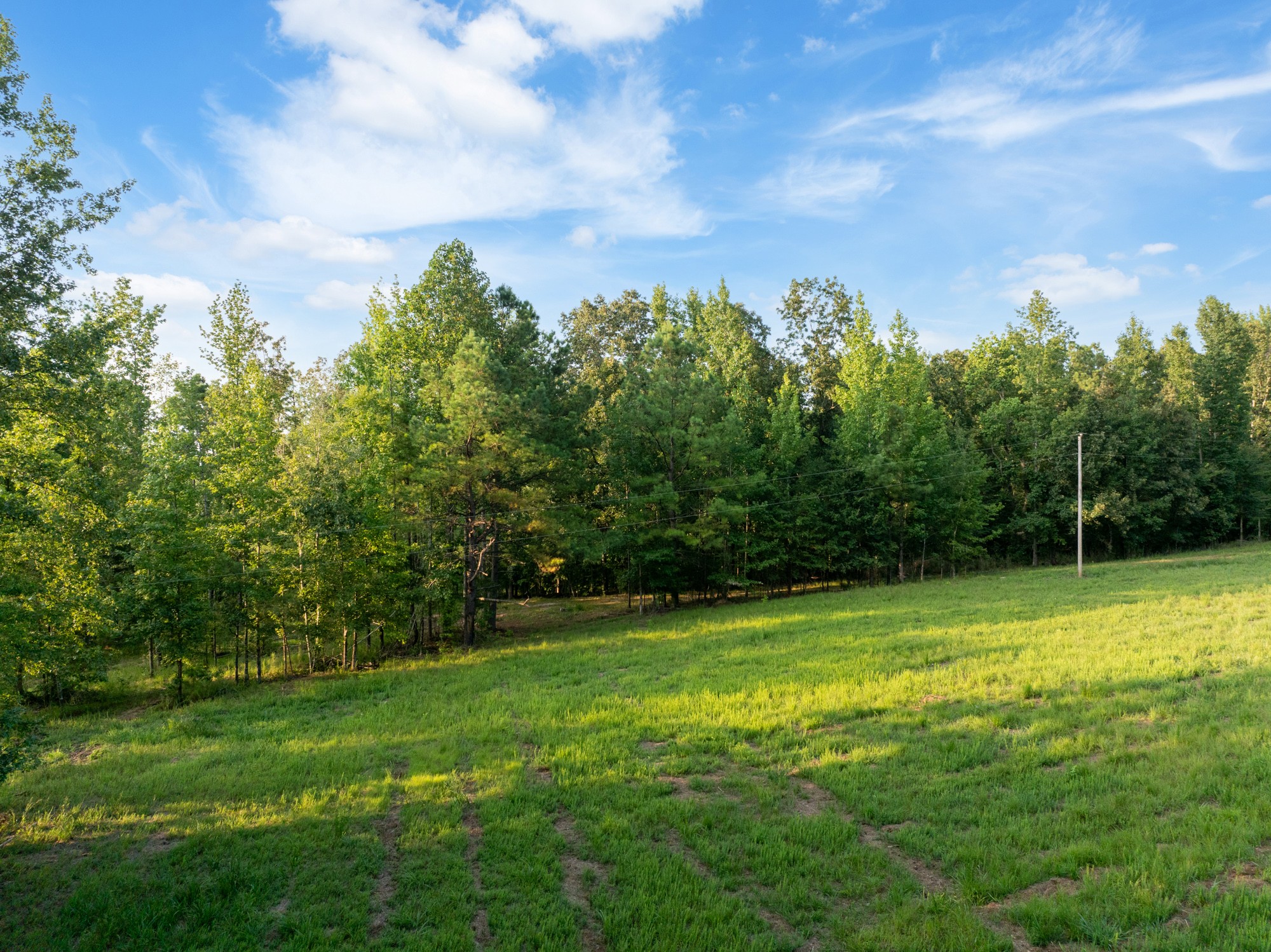 890 Kyle Road Huntingdon, TN 38344 - Photo 18 of 29 a view of a field with a trees in the background