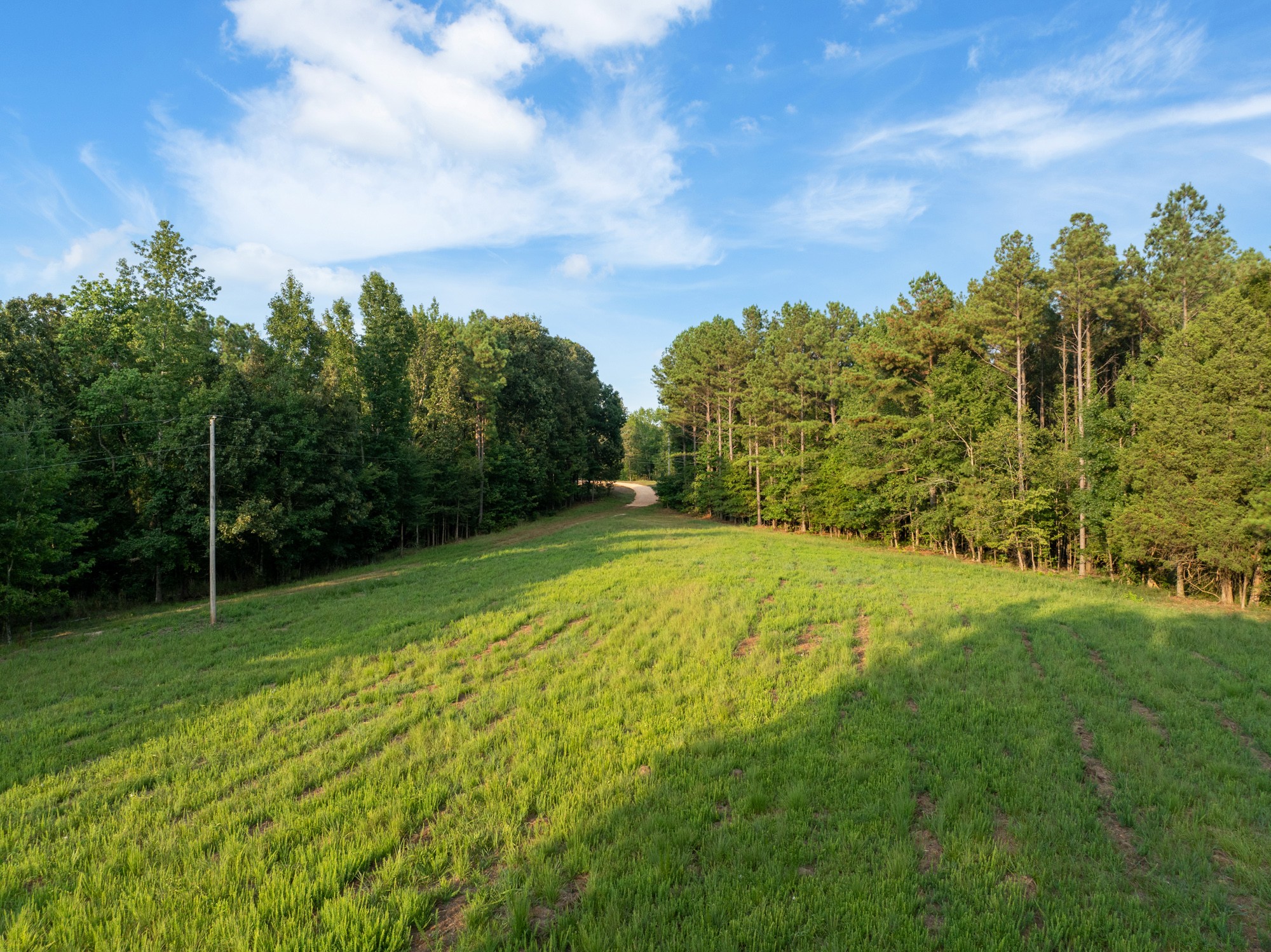 890 Kyle Road Huntingdon, TN 38344 - Photo 19 of 29 a view of a yard with an trees