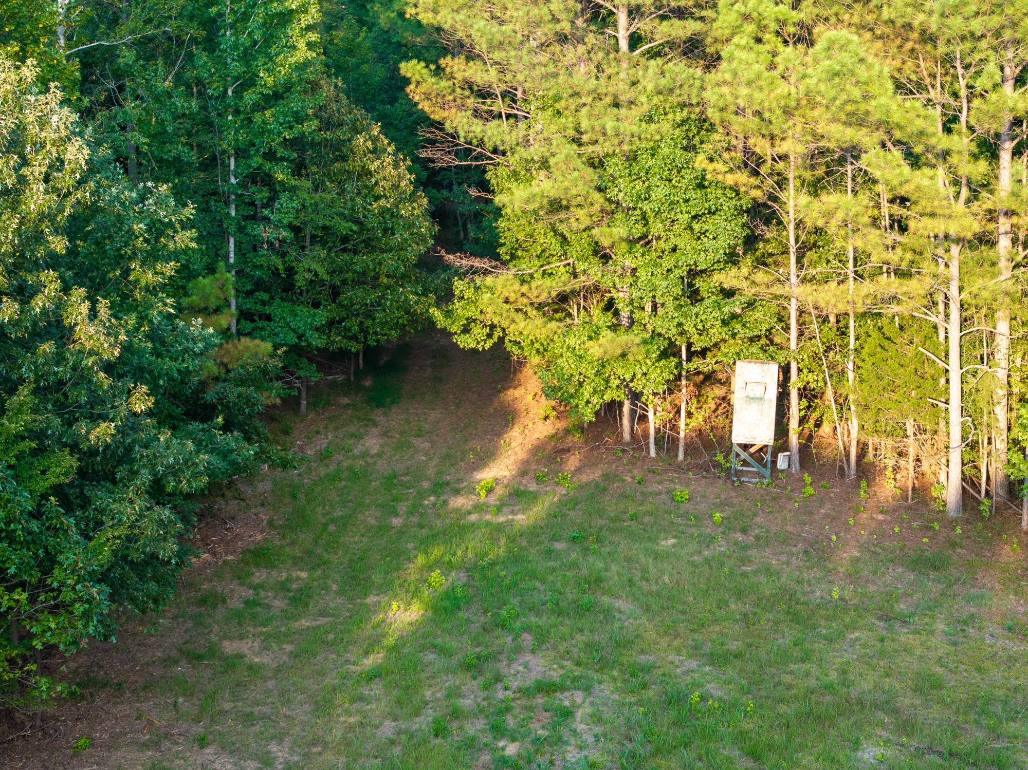 890 Kyle Road Huntingdon, TN 38344 - Photo 21 of 29 a view of yard with green space