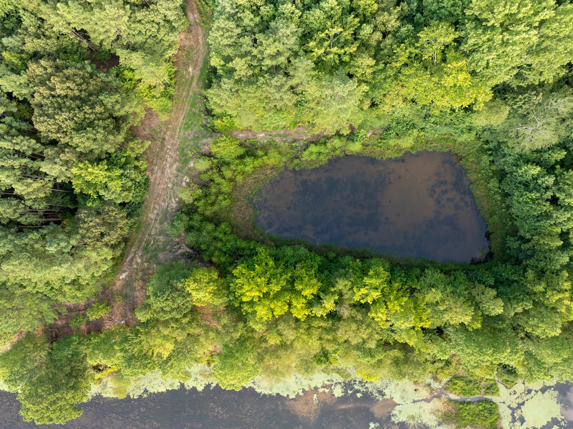 890 Kyle Road Huntingdon, TN 38344 - Photo 22 of 29 a backyard of a house with lots of green space and plants