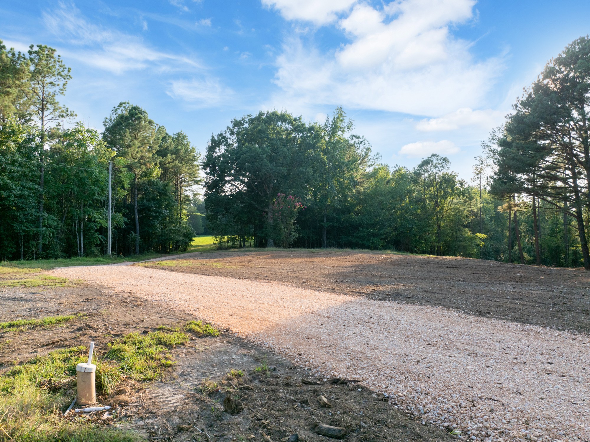 890 Kyle Road Huntingdon, TN 38344 - Photo 3 of 29 a backyard of a house with lots of green space