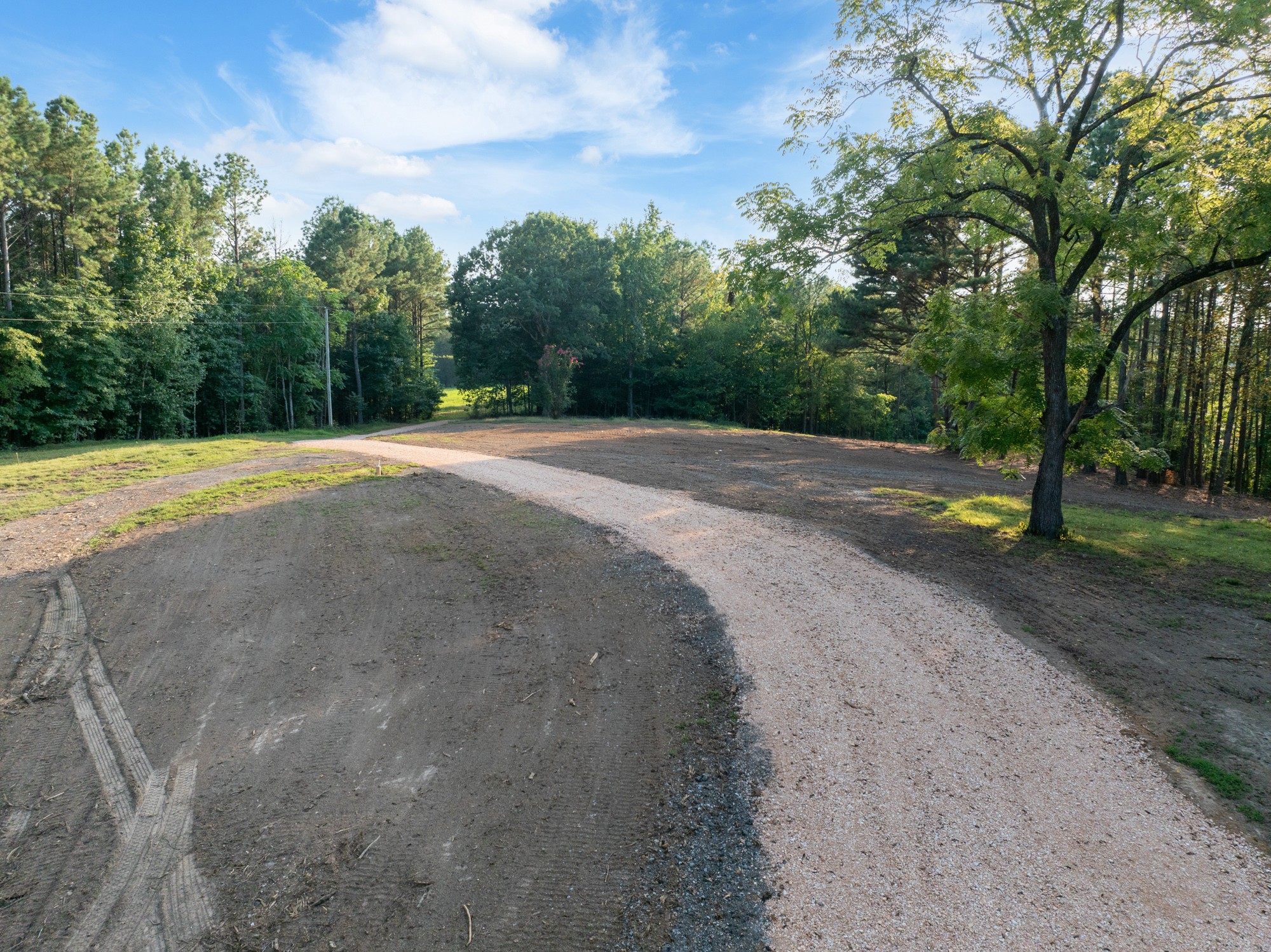 890 Kyle Road Huntingdon, TN 38344 - Photo 4 of 29 a view of a field with trees in the background