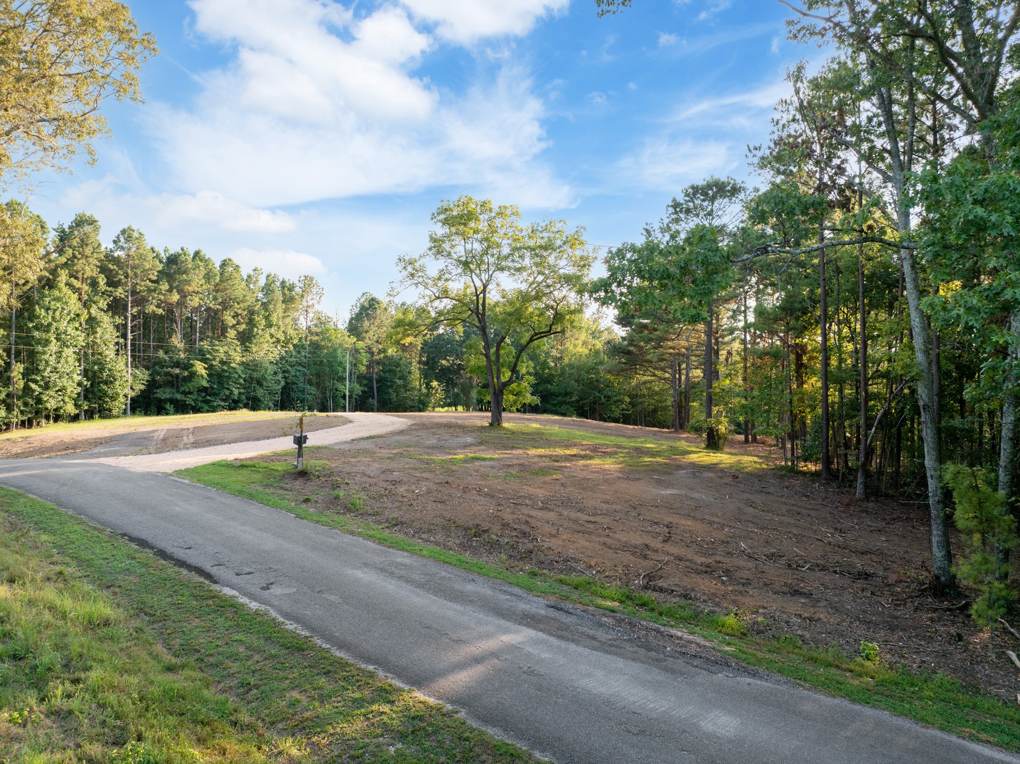 890 Kyle Road Huntingdon, TN 38344 - Photo 5 of 29 a view of a rural road with plants and trees