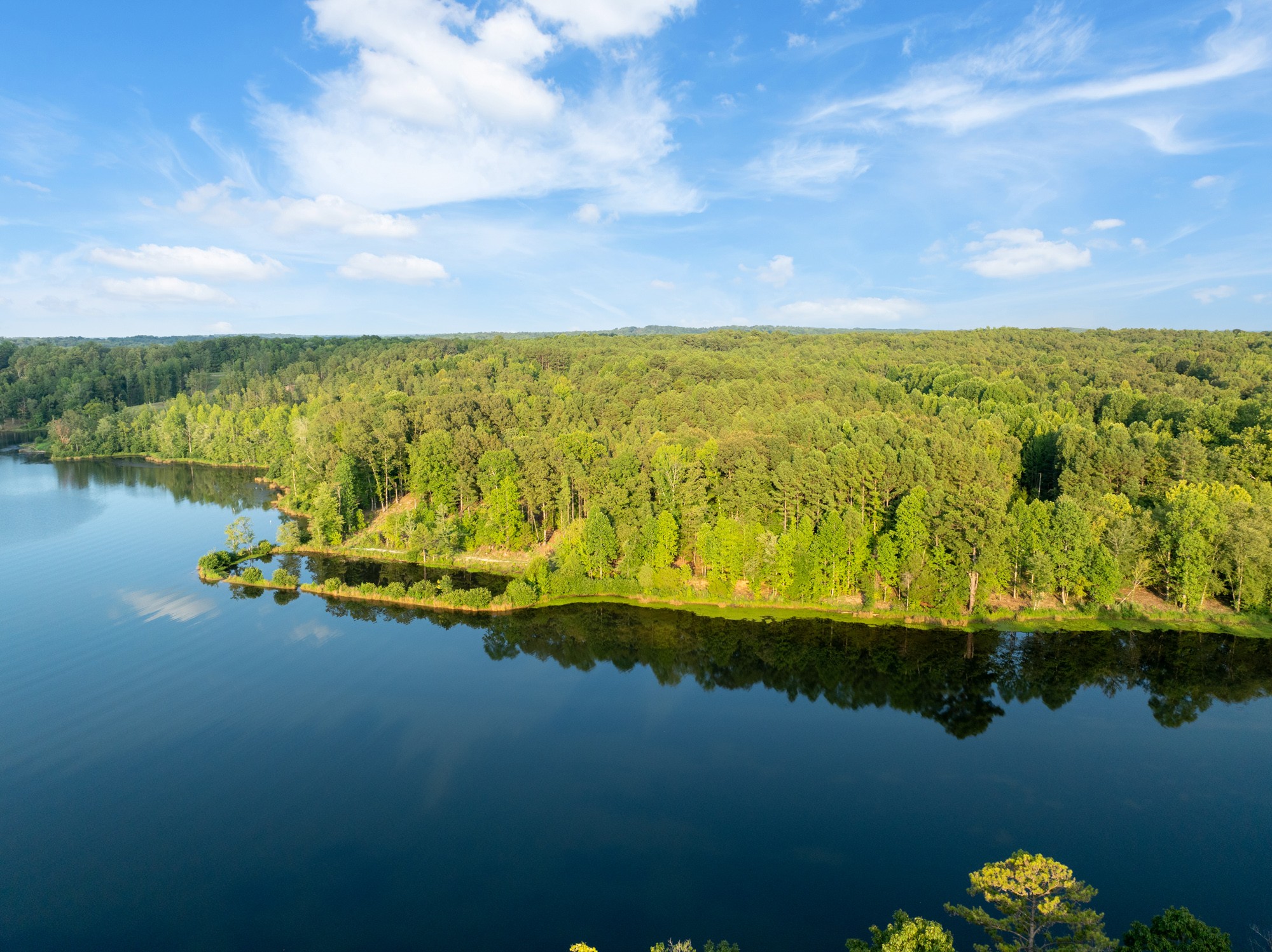 890 Kyle Road Huntingdon, TN 38344 - Photo 6 of 29 a view of a lake with a yard