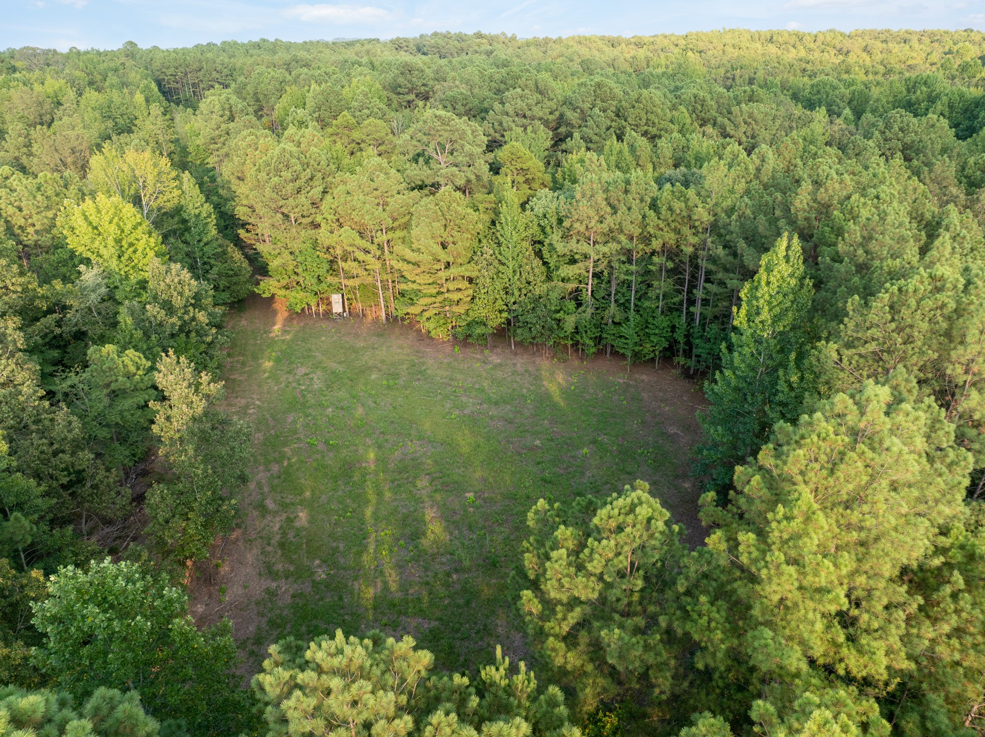 890 Kyle Road Huntingdon, TN 38344 - Photo 7 of 29 a view of a garden