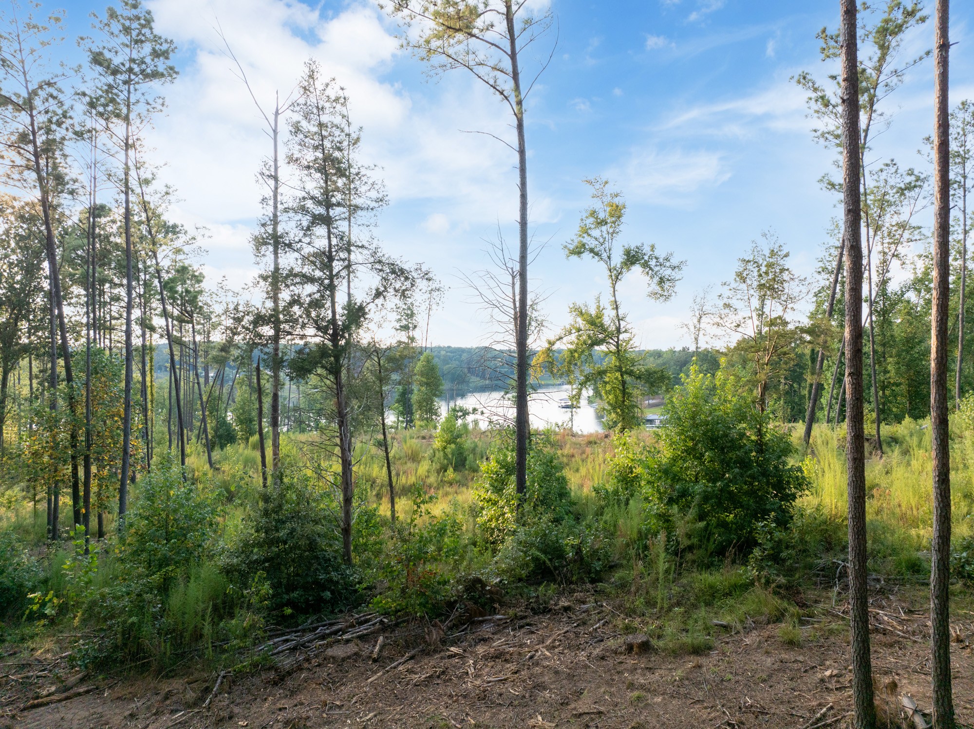 890 Kyle Road Huntingdon, TN 38344 - Photo 10 of 29 a view of lake from balcony