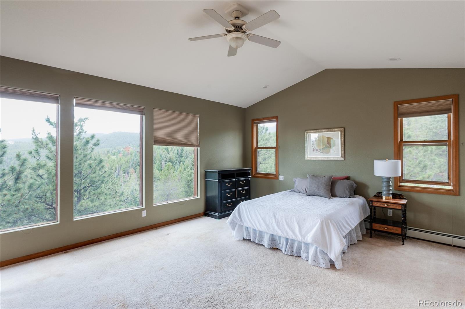 8460 South Warhawk Road Conifer, CO 80433 - Photo 17 of 37 Gallery Image 17