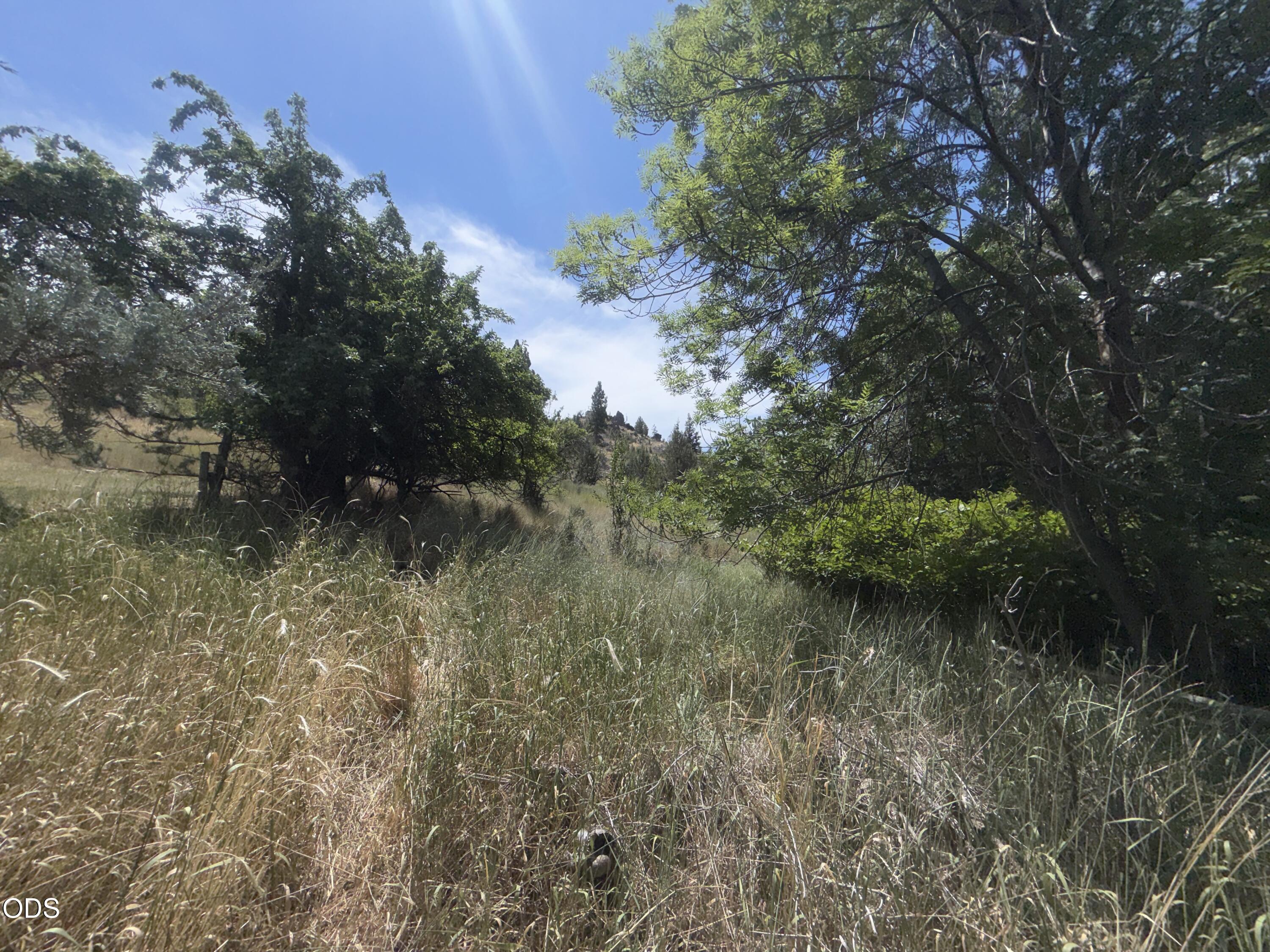 115 Rebel Hill Road Canyon City, OR 97820 - Photo 59 of 61