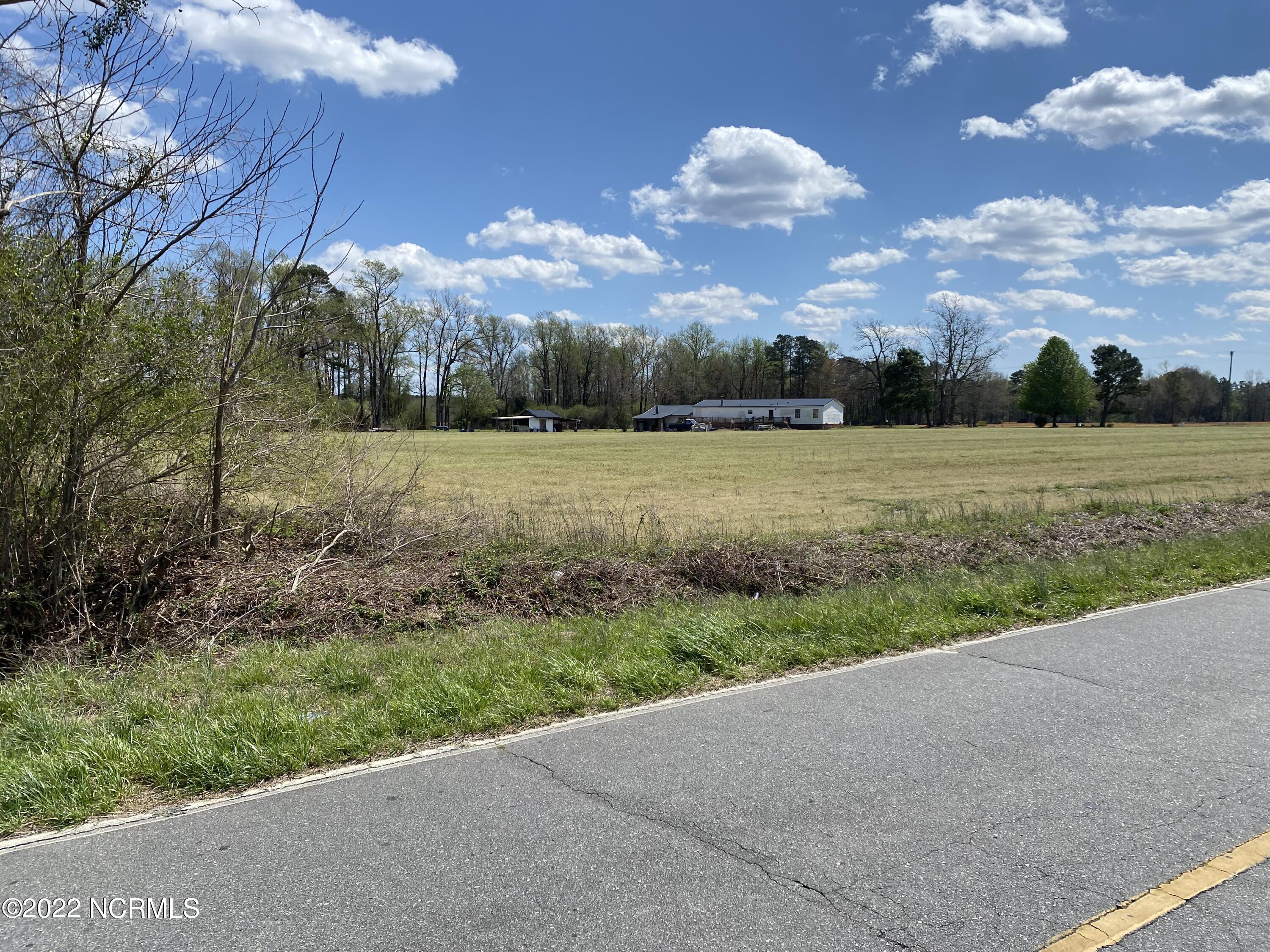 0 Pope Road Rose Hill, NC 28458 - Photo 6 of 10 IMG_6507