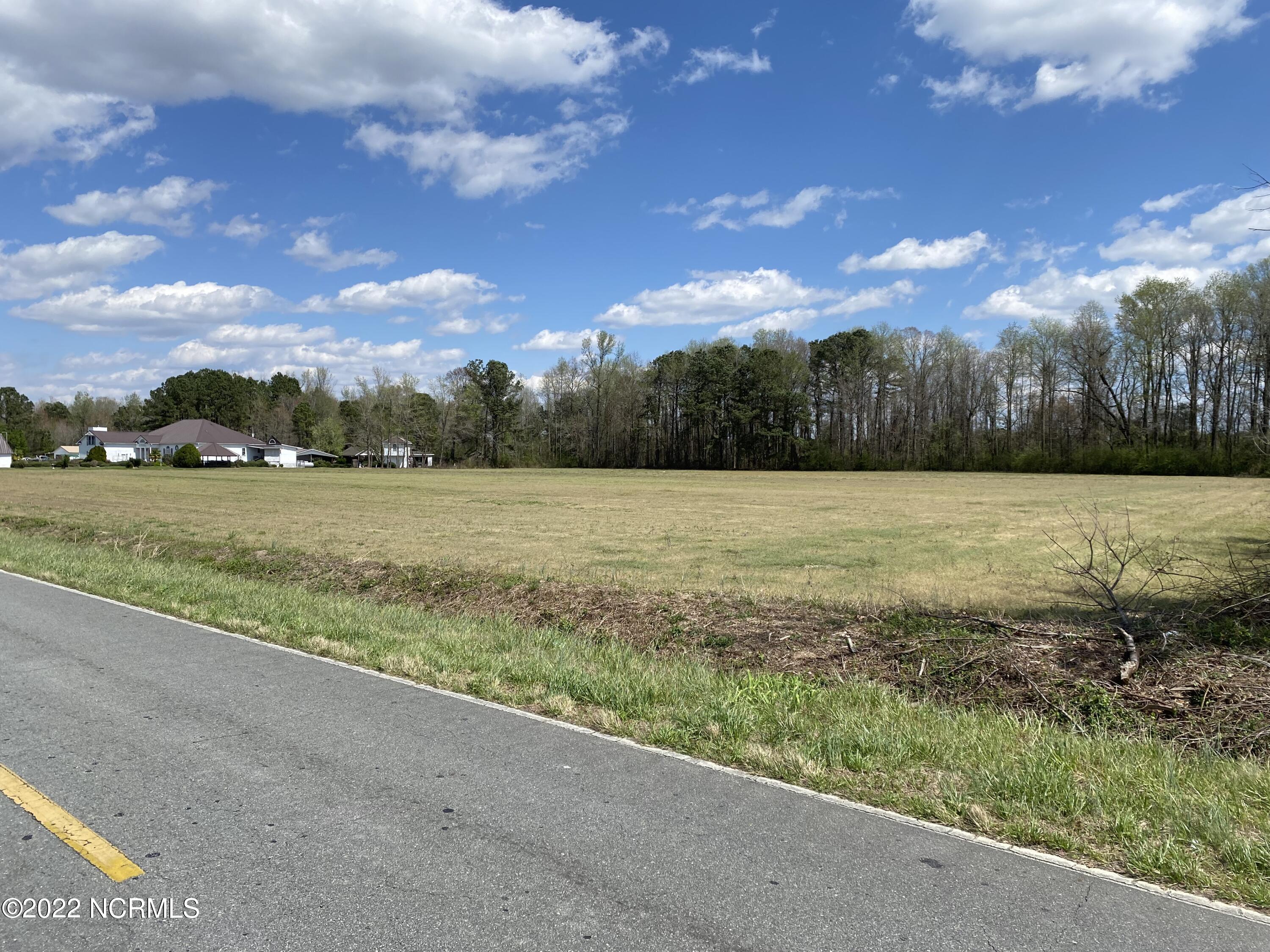 0 Pope Road Rose Hill, NC 28458 - Photo 10 of 10 IMG_6512