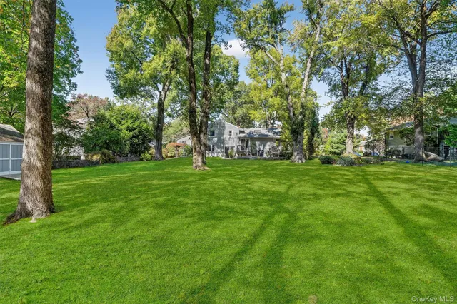 a view of a park with large trees