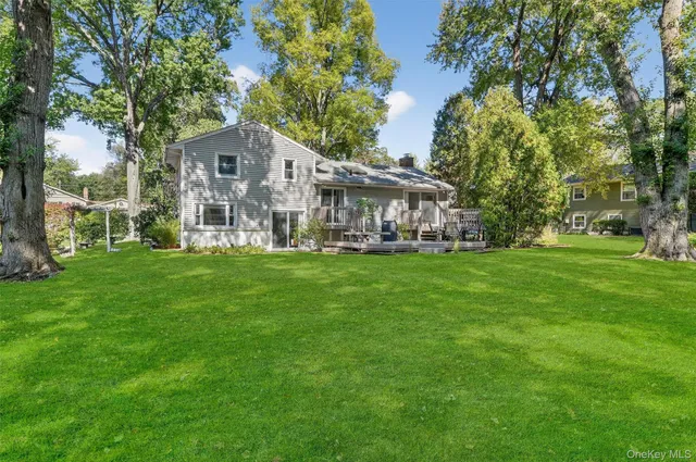 a view of a park with large trees