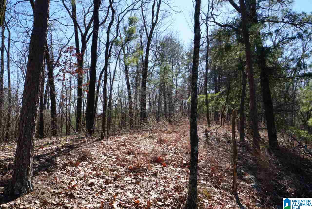 Mystic Valley View, Unit 1 Sterrett, AL 35147 - Photo 21 of 33