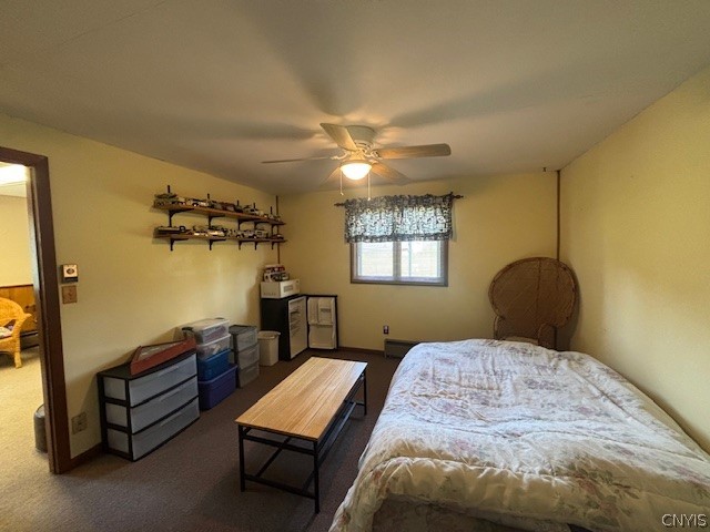 593 Shackelton Point Road Sullivan, NY 13030 - Photo 30 of 38