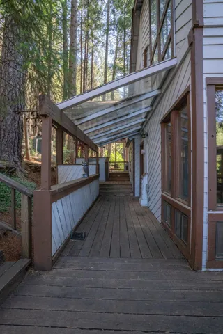 a view of a lush green forest