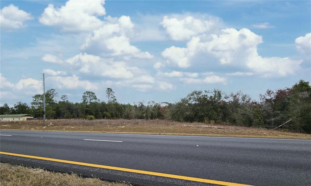 0 Northeast Ne Highway Williston, FL 32696 - Photo 3 of 4 a view of a yard