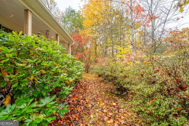 a view of a yard with a tree