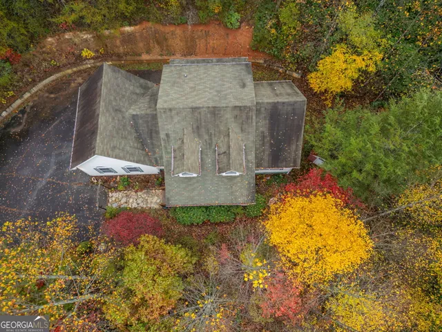 a view of a yard with a tree