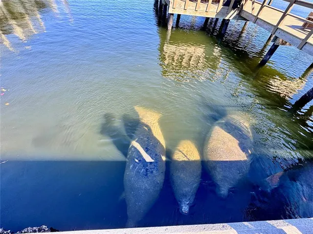 a swimming pool with chairs