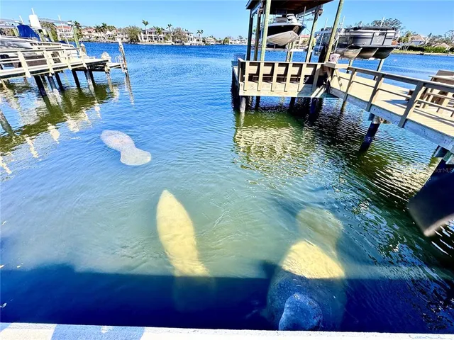 a view of a swimming pool with a yard