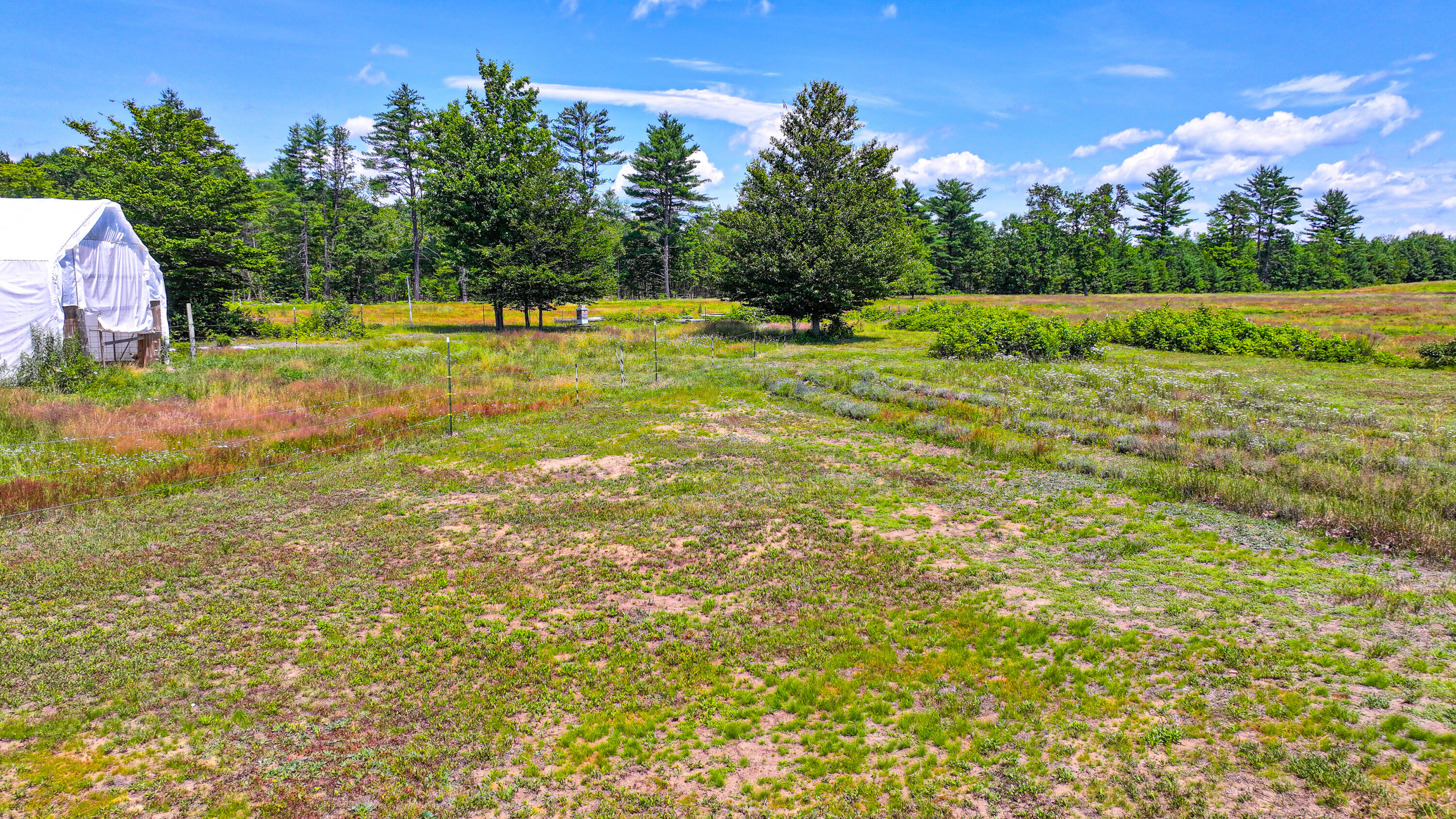 69 Skeetfield Road Oxford, ME 04270 - Photo 9 of 61 Backyard